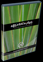 Abstractures Volume 20