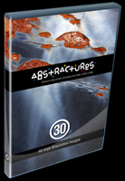 Abstractures Volume 30